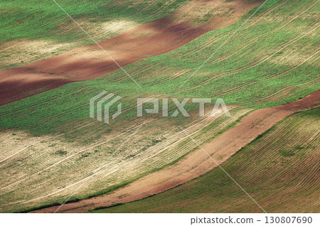 Beautiful spring landscape with field, hills and sunset. Czech Republic South Moravia Moravian Tuscany. Concept for agriculture, travel, environment and nature.. Beautiful spring landscape with field, hills and sunset. Czech Republic South Moravia Moravian Tuscany. Concept for agriculture, travel, environment and nature.. 130807690