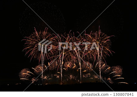 開花在夜空的煙花 130807841
