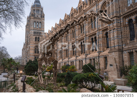 The Natural History Museum in London features Romanesque architecture, a dinosaur skeleton replica in a garden, and iconic towers with arched windows. 130807855