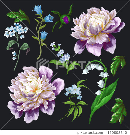 Peony, lilies and spring blossoms isolated. Vector. Peony, lilies and spring blossoms isolated. Vector. 130808840