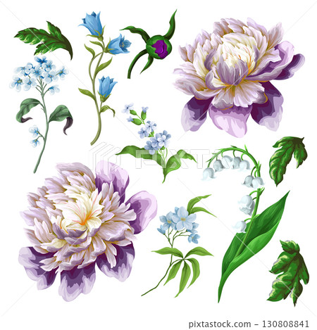 Peony, lilies and spring blossoms isolated. Vector. 130808841