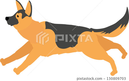 german shepherd running dog. animal breed used as working police and protection dog 130809703