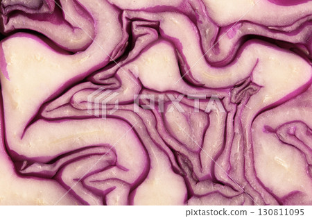 Close-up view of a sliced red cabbage revealing intricate patterns and textures in layers 130811095