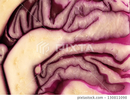 Close-up view of a sliced red cabbage revealing intricate patterns and textures in layers 130811098