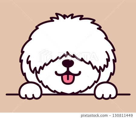 Cute cartoon Coton de Tulear dog face Cute cartoon Coton de Tulear dog face 130811449