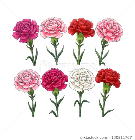 Set of Flowers illustration design 130811767