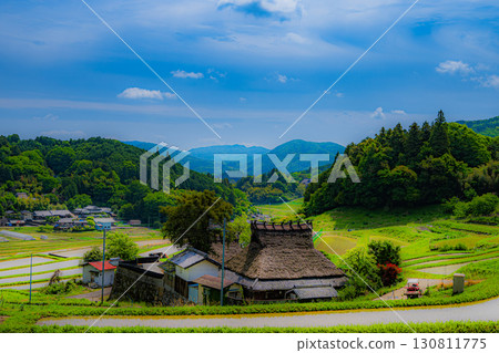 Rice terraces and old houses 130811775