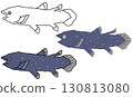 Coelacanth illustration set 130813080