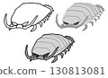 Giant isopod illustration set 130813081