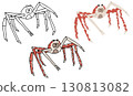 Spider crab illustration set 130813082