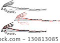 Oarfish illustration set 130813085