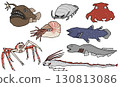 Deep-sea fish illustration set 130813086