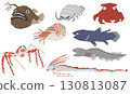 Relaxed deep sea fish color illustration 130813087