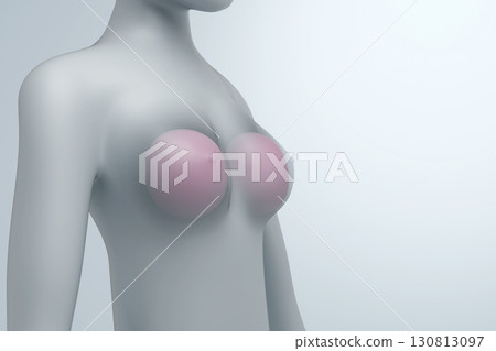 3D image of breasts after breast augmentation surgery Silicone implants in the body 130813097