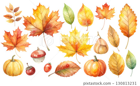 秋季水彩落葉與收穫元素集合 130813231