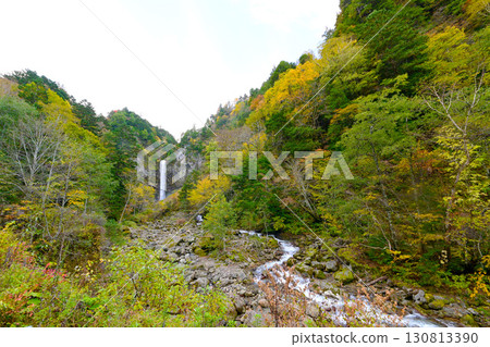 秋季的平湯瀑布，周圍被紅葉環繞 130813390