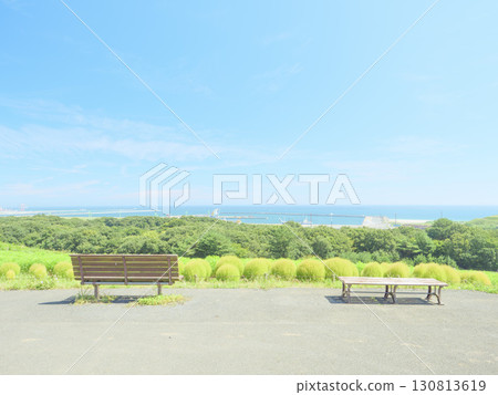 日立海濱公園的藜蘆花在晴朗的秋天開始變色 130813619