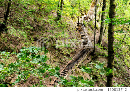 Metal staircase ascend through dense forest, greenery trees and rich foliage, creating peaceful atmosphere for outdoor enthusiasts and hikers 130813742