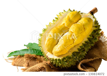 Fresh Durian Fruit or Durio zibethinus Opened on White Background .Exotic Tropical Thai King of Fruits 130814072