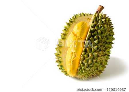 Ripe durian fruit or Durio zibethinus with yellow creamy pulp exposed, isolated on white background. Known as the king of fruits in Southeast Asia. Popular in Thailand, Malaysia, and Indonesia. Ripe durian fruit or Durio zibethinus with yellow creamy pulp exposed, isolated on white background. Known as the king of fruits in Southeast Asia. Popular in Thailand, Malaysia, and Indonesia. 130814087