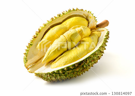 Ripe Durian Fruit or Monthong with Yellow Flesh Isolated on White Background.King of Fruits Ripe Durian Fruit or Monthong with Yellow Flesh Isolated on White Background.King of Fruits 130814097