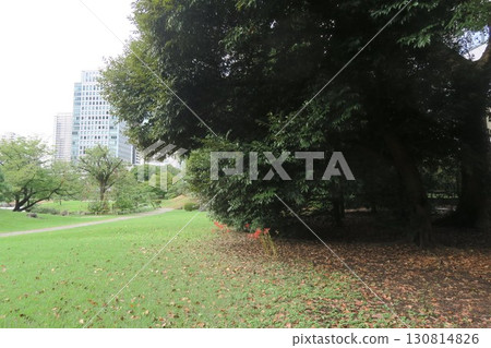 舊芝離宮恩賜庭園內盛開的紅花與建築物 舊芝離宮恩賜庭園內盛開的紅花與建築物 130814826