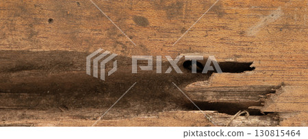 Rotten brown wooden plank Rotten brown wooden plank 130815464