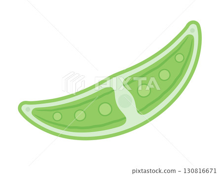 Cute illustration material of a crocodylomorph 130816671