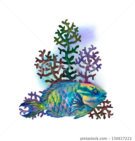 Neon tropical parrotfish with rainbow anemones. Underwater seascape in watercolor style. Template for design, cards, posters, children's books, stickers, scrapbooking, textiles, diving and snorkeling 130817222