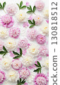 Abundant Pink and White Peonies in Full Bloom 130818512