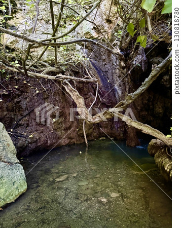 Natural spring water source in tropical forest. A place in Cyprus in Paphos where the goddess Aphrodite bathed in ancient times. Natural spring water source in tropical forest. A place in Cyprus in Paphos where the goddess Aphrodite bathed in ancient times. 130818780