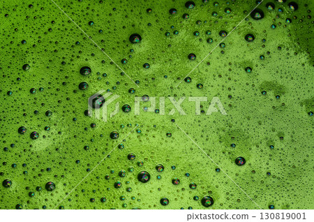 Vibrant Matcha Foam. Close-up of freshly whisked matcha with a frothy 130819001