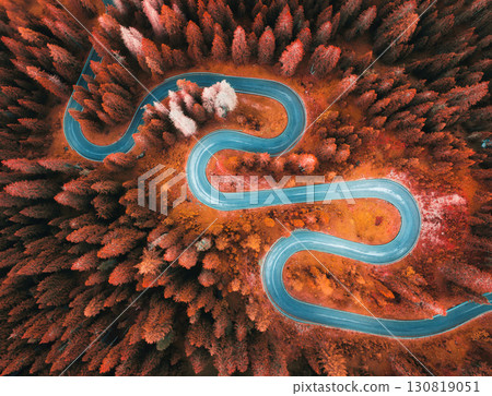 Aerial view of mountain curvy road and red forest in autumn 130819051