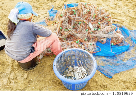 Woman diligently sorts through fresh haul of squid on sandy beach, separating catch into a blue basket, testament to the daily life and traditional seafood harvest of coastal village. Freshly caught 130819659