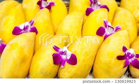 Vibrant yellow mangoes adorned with purple orchids in a neat row create an exotic display. Perfect for showcasing tropical freshness and organic produce, ideal for market and health promotion Vibrant yellow mangoes adorned with purple orchids in a neat row create an exotic display. Perfect for showcasing tropical freshness and organic produce, ideal for market and health promotion 130819923