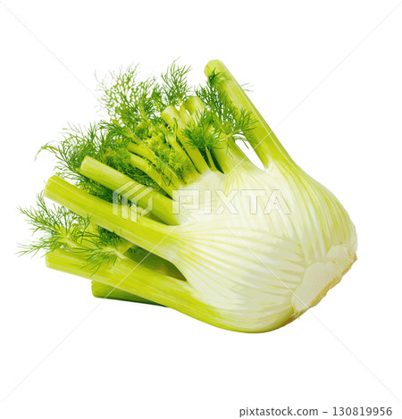 Fresh Fennel Herb on Transparent Background Ideal for Culinary Designs and Healthy Recipe Graphics 130819956
