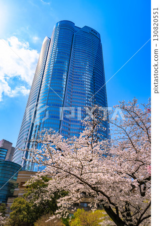 東京、港區、六本木、毛利花園櫻花和六本木Hills 東京、港區、六本木、毛利花園櫻花和六本木Hills 130820551