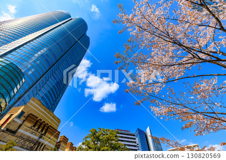 Tokyo, Minato-ku, Roppongi, Mouri Garden cherry blossoms and Roppongi Hills Tokyo, Minato-ku, Roppongi, Mouri Garden cherry blossoms and Roppongi Hills 130820569