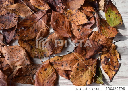 Fallen leaves Autumn image Background material 130820798