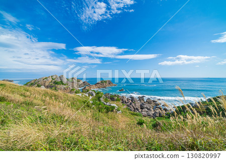 青森縣八戶市種差海岸紅葉 130820997