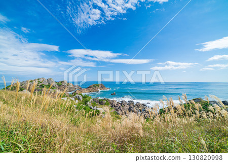 青森縣八戶市種差海岸紅葉 青森縣八戶市種差海岸紅葉 130820998