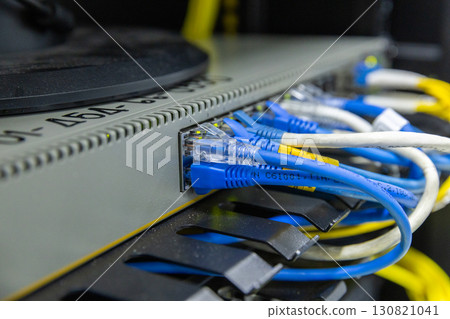 Network cables connected to switches.  130821041