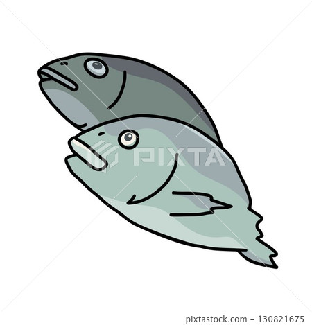 two fish on a white background outline color vector illustration 130821675