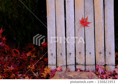 Image of bamboo fence and autumn leaves Image of bamboo fence and autumn leaves 130821953