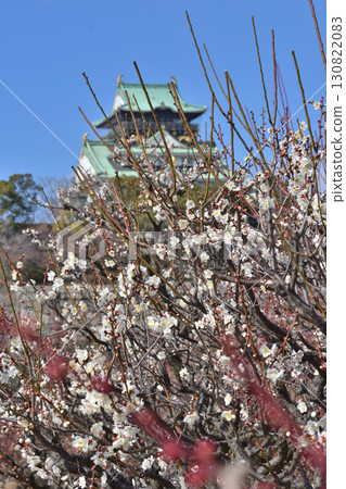 大阪城堡的李子 130822083