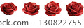 Red Rose Flower 130822755