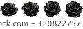 Black Rose 130822757