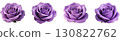 Purple rose flower 130822762