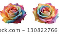 Rainbow rose 130822766