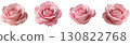 Pink rose flower 130822768